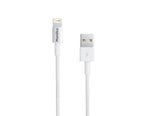 Cable iPhone (2 mètres)